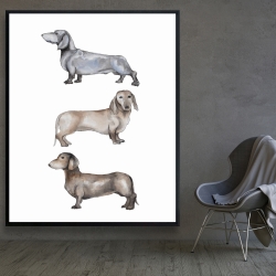 Framed 48 x 60 - Small dachshund dog