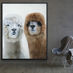 Framed 48 x 60 - Two lamas