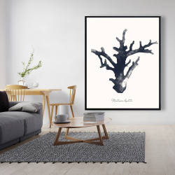 Encadré 48 x 60 - Montipora digitata