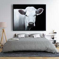 Encadré 48 x 60 - Vache blanche