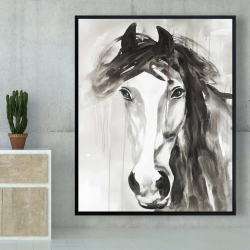 Encadré 48 x 60 - Magnifique cheval sauvage