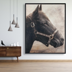 Encadré 48 x 60 - Gallopin le cheval brun