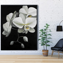 Framed 48 x 60 - White orchids