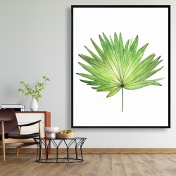 Framed 48 x 60 - Petticoat palm