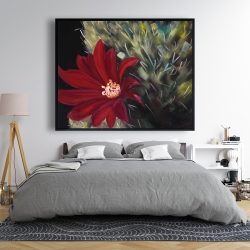 Framed 48 x 60 - Echinopsis red cactus flower