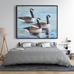 Framed 48 x 60 - Canada geese in water