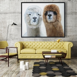 Framed 48 x 60 - Two lamas
