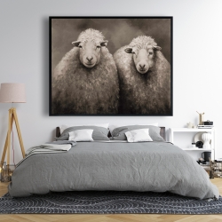 Encadré 48 x 60 - Moutons sépia