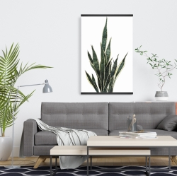 Magnétique 20 x 30 - Plante couteau