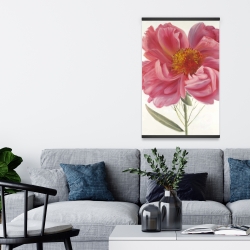 Magnetic 20 x 30 - Pink peony flower
