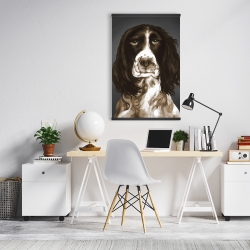 Magnétique 20 x 30 - Springer spaniel anglais brun