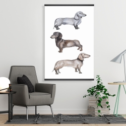 Magnetic 28 x 42 - Dachshund dogs