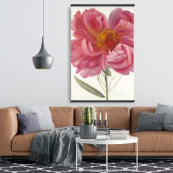 Magnetic 28 x 42 - Pink peony flower