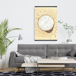 Magnétique 20 x 30 - Dollars des sables