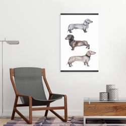 Magnetic 20 x 30 - Dachshund dogs