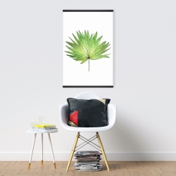 Magnetic 20 x 30 - Petticoat palm