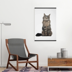 Magnetic 20 x 30 - Maine coon cat