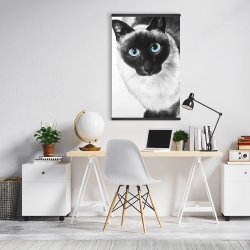 Magnetic 20 x 30 - Blue eyes siamese cat