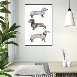 Magnetic 28 x 42 - Dachshund dogs