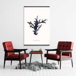 Magnétique 28 x 42 - Montipora digitata