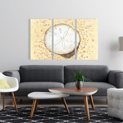 Toile 24 x 36 - Dollars des sables
