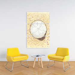 Toile 24 x 36 - Dollars des sables