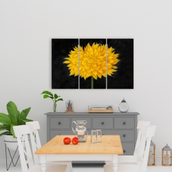 Canvas 24 x 36 - Yellow chrysanthemum