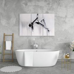 Canvas 24 x 36 - Dancer on aerial contortion