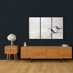 Toile 24 x 36 - Deux oiseaux bécasseau