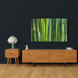 Canvas 24 x 36 - Green bamboo