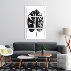 Canvas 24 x 36 - Split leaf philodendron with rose line