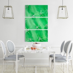Canvas 24 x 36 - Cactus closeup
