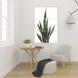 Toile 24 x 36 - Plante couteau