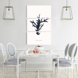 Toile 24 x 36 - Montipora digitata