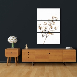 Canvas 24 x 36 - A branch of cotton flowers