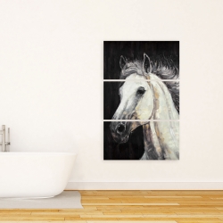 Canvas 24 x 36 - White star horse