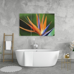 Canvas 24 x 36 - Bird of paradise flower 