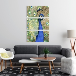 Canvas 24 x 36 - Peacock