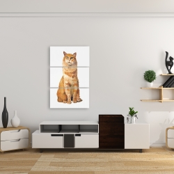 Canvas 24 x 36 - Ginger cat
