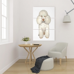 Canvas 24 x 36 - French poodle