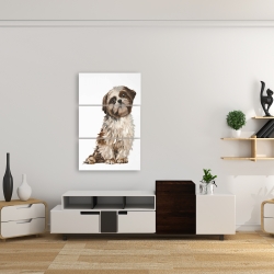 Toile 24 x 36 - Shih-tzu