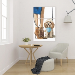 Toile 24 x 36 - Chien cavoodle à la mode