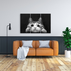Canvas 24 x 36 - Curious cat