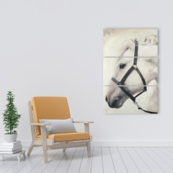 Canvas 24 x 36 - Darius the white horse