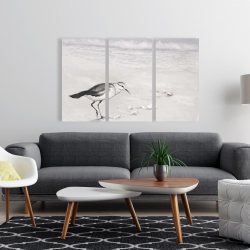 Toile 24 x 36 - Bécasseau semipalmé