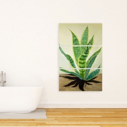Canvas 24 x 36 - Succulent plant mother-in-law's tongue