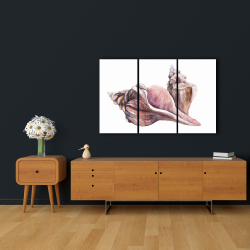 Canvas 24 x 36 - Horse conch seashells