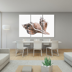 Toile 40 x 60 - Coquillage de conque de cheval neutre