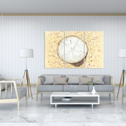 Toile 40 x 60 - Dollars des sables