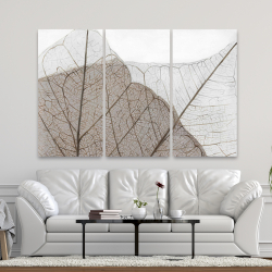 Toile 40 x 60 - Feuilles séchées translucides